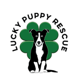 Lucky Puppy Dog Rescue & Kennel Inc logo