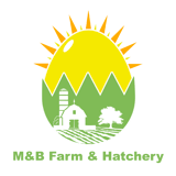 M&B Farm & Hatchery Inc logo