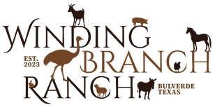 Winding Branch Ranch logo