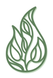 Temple Israel logo