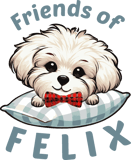 Friends of Felix Senior Dog Rescue and Sanctuary logo