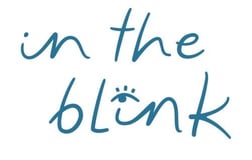 In the Blink Ltd logo