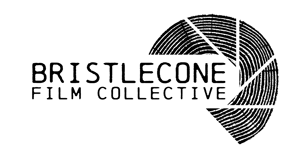 Bristlecone Film Collective logo