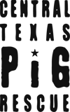 Central Texas Pig Rescue logo
