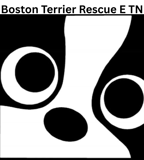 BOSTON TERRIER RESCUE OF EAST TENNESSEE logo
