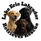 LAKE ERIE LABRADOR RETRIEVER RESCUE INC logo