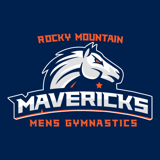 American Gymnastics Sports and Educational Programs Inc logo