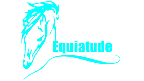 Equiatude Foundation logo
