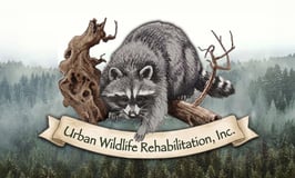 URBAN WILDLIFE REHABILITATION INC logo