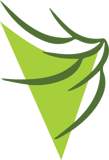 The Well Being Foundation logo