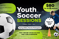 Branches of Grace logo