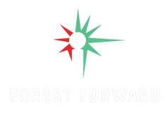 Forest Forward logo