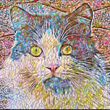 Minnalousha May's Cat Hideaway MMCH Inc logo