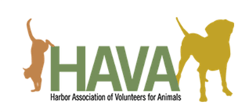 HAVA logo