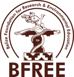 BFREE logo