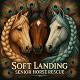 Soft Landing Senior Horse Rescue Inc logo