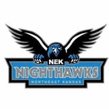 NEK Nighthawks logo