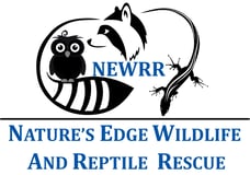 NATURES EDGE WILDLIFE RESCUE logo