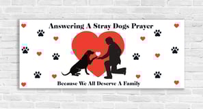 Answering A Stray Dogs Prayer logo