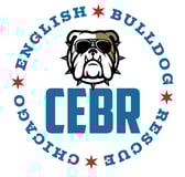 CHICAGO ENGLISH BULLDOG RESCUE INC logo