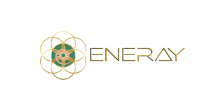 EneRay Healing Foundation, Inc. logo
