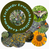 Coahoma Orchards Community Research Institute logo