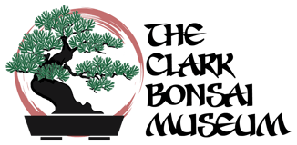 Bonsai Foundation of the Central Valley logo