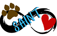 SAINT logo