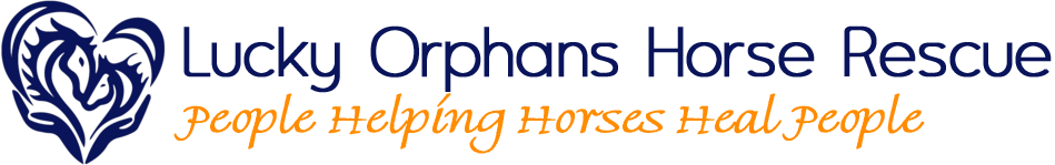 Lucky Orphans Horse Rescue, Inc logo
