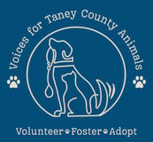 Voices For TCA logo