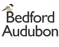 Bedford Audubon Society logo