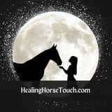 Healing Horse Touch Company logo
