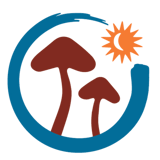 Psanctuary Church logo