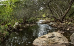 Elfin Forest Harmony Grove Town Council logo