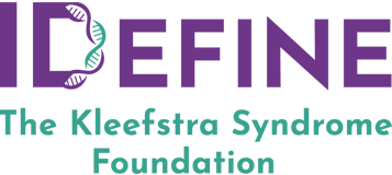 Idefine Inc logo
