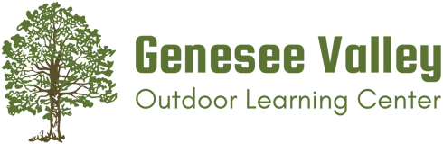 GENESEE VALLEY OUTDOOR LEARNING CENTER INC logo