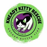 Kneady Kitty Rescue logo