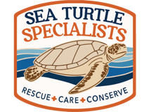 Sea Turtle Specialists Corp logo