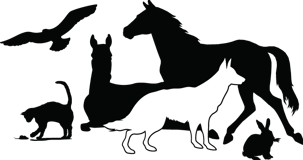 Center Valley Animal Rescue logo