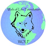 Web of Life Foundation logo