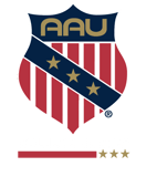 College Hockey Federation logo