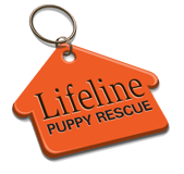 Lifeline Pet Rescue logo