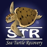 Sea Turtle Recovery logo