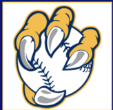 Northfield High School Baseball - Denver, CO logo
