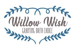 Willow Wish logo
