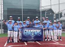 Stingers Baseball Club Inc logo