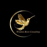 Wisdom Born Consulting, LLC logo