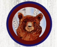 Birch Meadow Parent Teacher Organization Inc logo