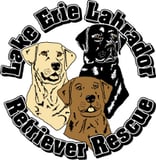 LAKE ERIE LABRADOR RETRIEVER RESCUE INC logo