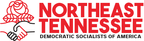 Northeast TN DSA logo